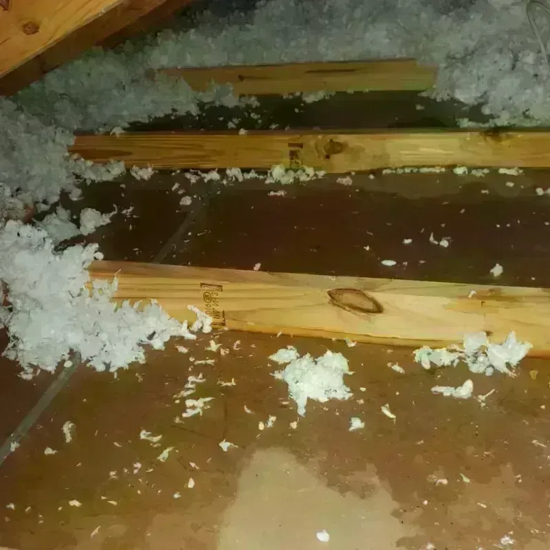 Attic Water Damage in Reynolds, GA