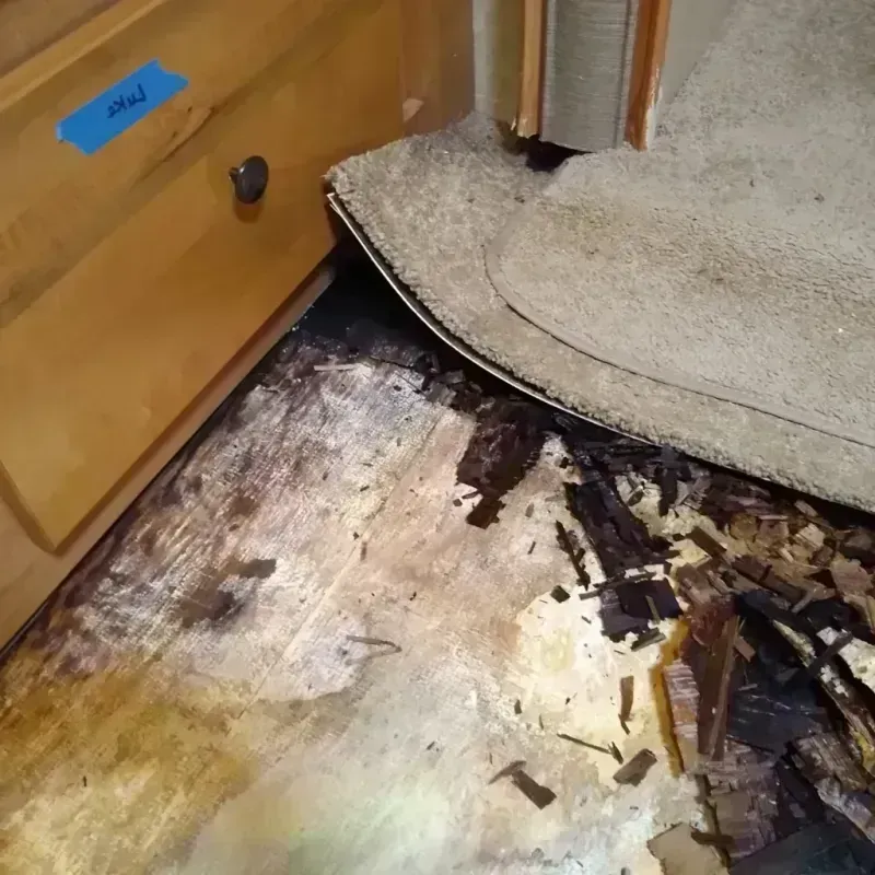 Best Wood Floor Water Damage Service in Reynolds, GA